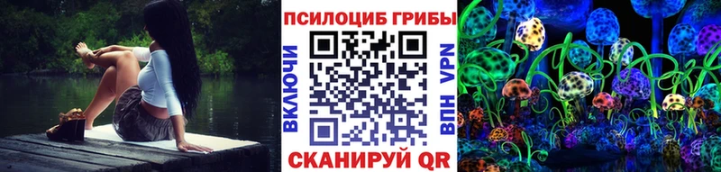 Псилоцибиновые грибы мухоморы магазин продажи Валдай